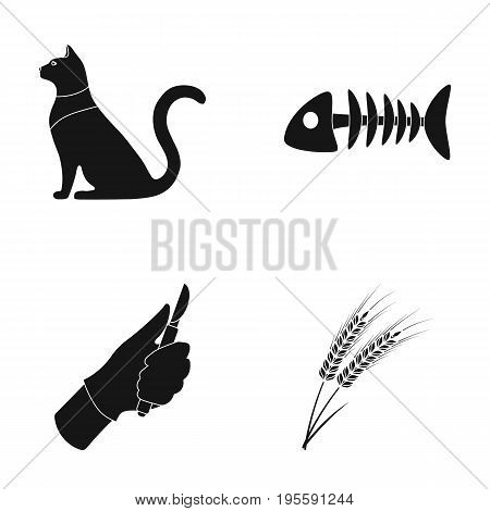 Cat, fish bone and other  icon in black style. surgeon's scalpel, spikelets icons in set collection.