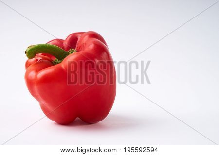 Fresh red bulgarian bell pepper isolated on white background with copy space.