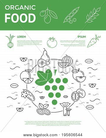 Digital vector green and black vegetable icons set infographics with drawn simple line art, onion squash pear orange apple grape carrot wallnut peas watermelon flower cabage, flat style, organic food