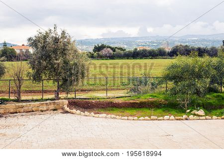 Outdoor countryside meadow grass nature. Rural field landscape