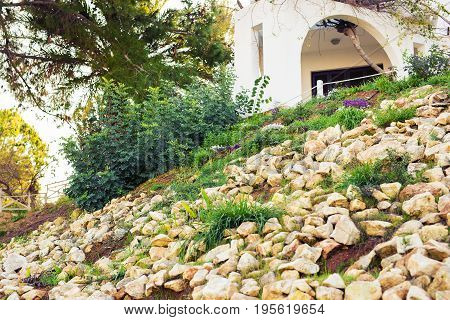 Outdoor countryside meadow grass nature. Rural field landscape