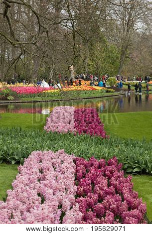 LISSE NETHERLANDS - APRIL 19 2017: Visitors at the Keukenhof Garden in Lisse Holland Netherlands.