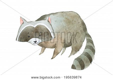 Cute raccoon watercolor technique. Hand drawn cartoon character.