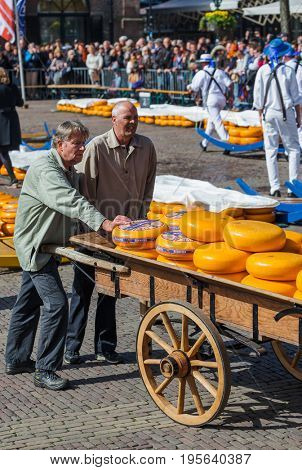 Alkmaar, Netherlands - April 28, 2017: Cheese buyers at traditional cheese market.