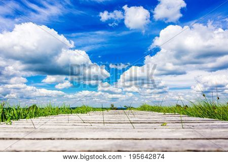 Wonderful Wide View Over Wooden Trail At The National Park High Fens Between Eifel And Ardennes