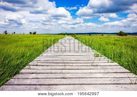 Beautiful Wide View Path Gangplank At The National Park High Fens Between Eifel And Ardennes
