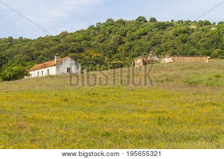 Farm House With  Flowers And Pine Trees In Cercal