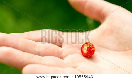 Child's hand with strawberry. On a green background.
