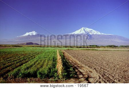 Гора Арарат