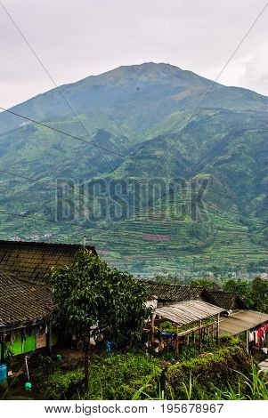 View over Merbabu volcano and various plantations
