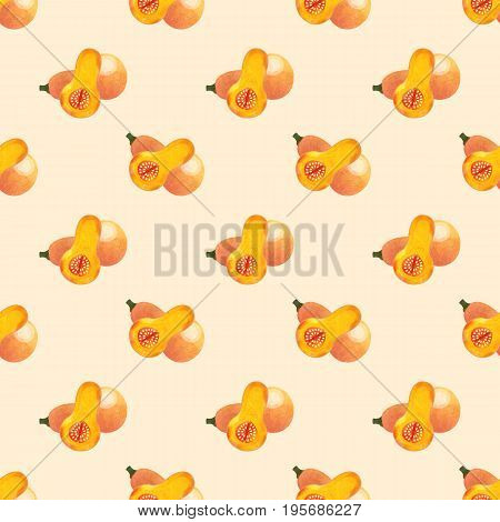 Seamless Background Image Colorful Watercolor Texture Vegetable Food Ingredient Butternut Sqaush