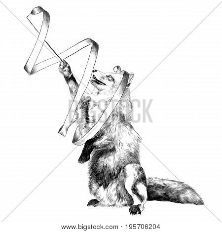 a Fox on its hind legs in a circus with a ribbon in his paw gymnast sketch vector graphics black and white drawing