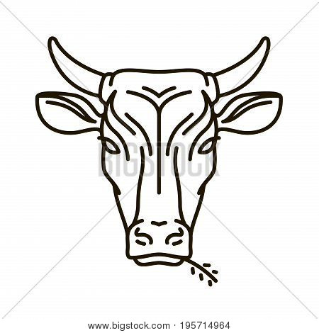 Portrait of cow. Farm animal, bull icon or logo. Vector illustration isolated on white background