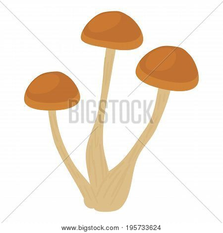 Honey agaric icon. Cartoon illustration of honey agaric vector icon for web