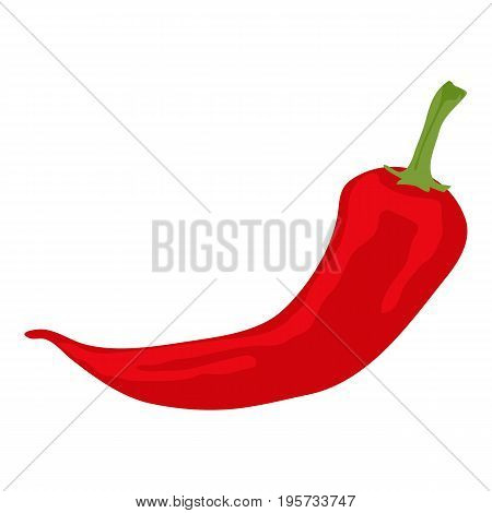 Pepper chili icon. Cartoon illustration of pepper chili vector icon for web