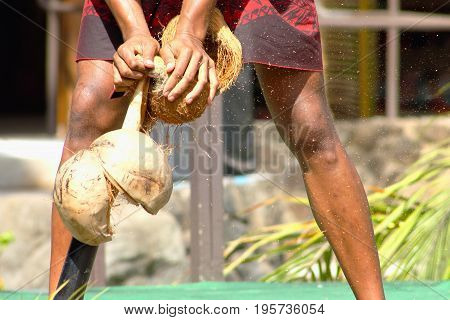 Close up image of a coconut being shucked
