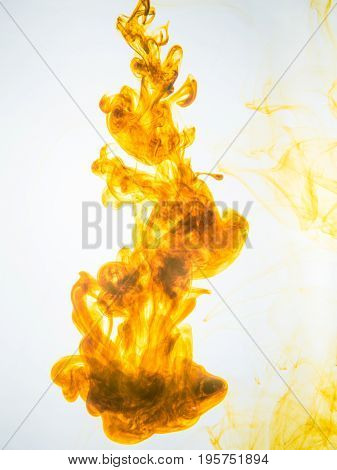 Ink swirl in a water on white background. The paint splash in the water. Soft dissemination a droplets of colored ink in water close-up. Abstract background. Explosion of color splashes acrylic ink.