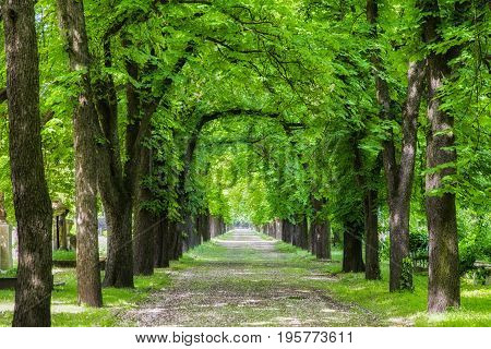 BUDAPEST HUNGARY - MAY 8: Kerepesi - historic cemetery on May 8 2017 in Budapest
