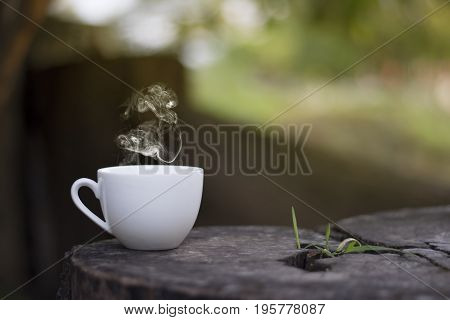 White cup morning coffee in garden and sunrise