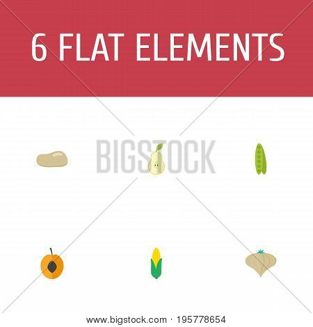 Flat Icons Praties, Garlic, Bean And Other Vector Elements
