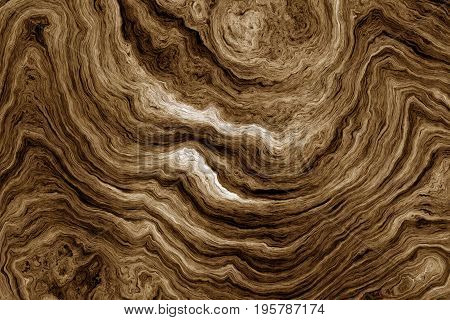 Texture of roots of tree with wavy lines and age rings. Abstract background.