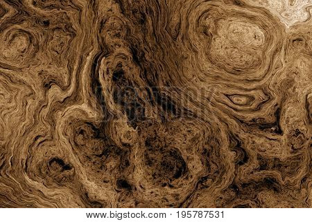 Texture of roots of tree with wavy lines and age rings. Abstract background.