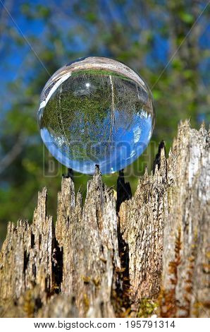 crystal ball in the wildness with reflecations