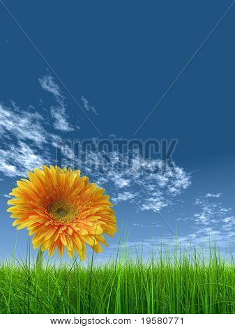 haute résolution 3d green grass sur un ciel bleu avec des nuages blancs dans le fond et une belle ger jaune