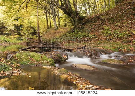 Beautiful View Of A River In The Forest, Strandzha Mountain, Bulgaria. Autumn Forest