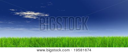 haute résolution 3d green grass sur une bannière de ciel bleu avec des nuages blancs dans le fond et une claire ho