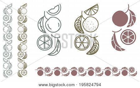 Orange tree branch. Set of monochrome designer elements