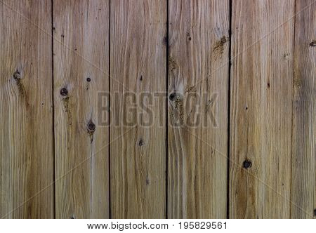 Texture of old wooden boards with nails