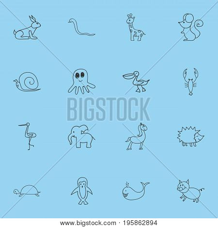 Set Of 16 Editable Zoology Doodles. Includes Symbols Such As Squid, Lobster, Tortoise And More