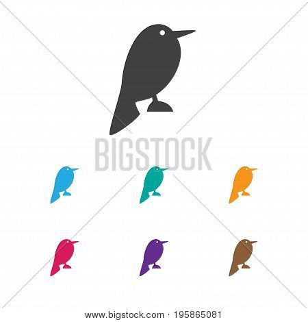 Vector Illustration Of Zoology Symbol On Nightingale Icon