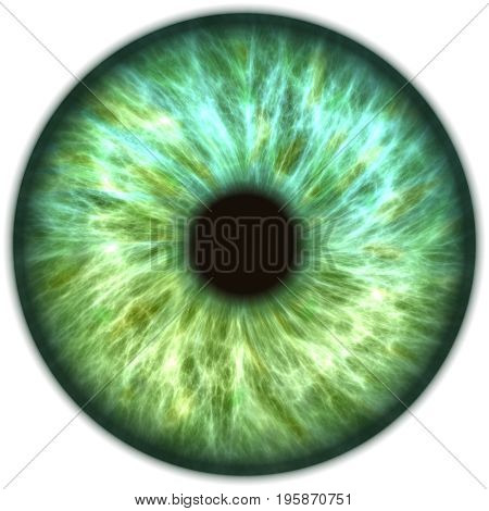 blue green iris rendered with 2D program