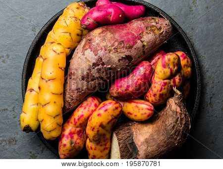 Peruvian raw ingredients for cooking - yuca, colored sweet potatoes and camote batata. Top view.