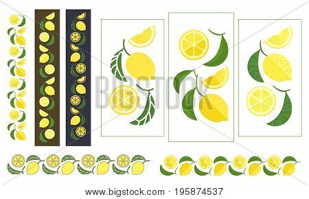 Lemon tree branch. Set of colored ornaments