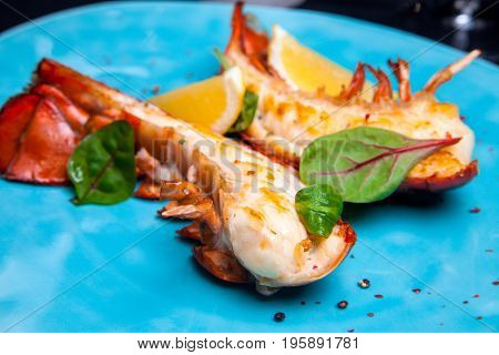 Lobster tail in maple-truffle sauce with lemon and basil