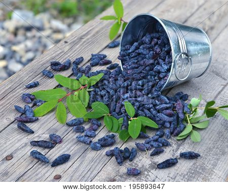 Honey berry in the basket on planks. Rural countryside or summer background