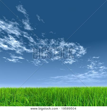 L'herbe verte haute résolution au-dessus d'un fond de ciel bleu
