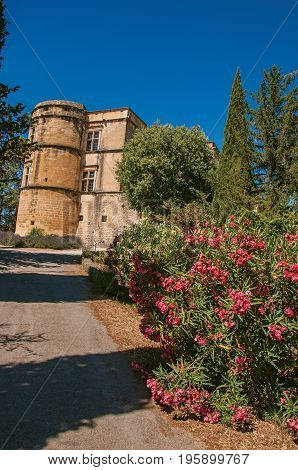 View of the Lourmarin castle with flower bush in the foreground, near the village of Lourmarin. In the Vaucluse department, Provence-Alpes-Côte d'Azur region, southeastern France