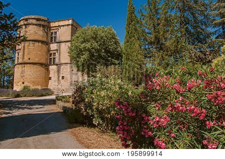 View of the Lourmarin castle with flower bush in the foreground, near the village of Lourmarin. In the Vaucluse department, Provence-Alpes-Côte d'Azur region, southeastern France