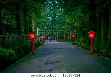 The night view of the approach to the Hakone shrine in a cedar forest. With many red lantern lighted up.