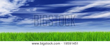 Haute résolution verte herbe sur une bannière de fond de ciel bleu