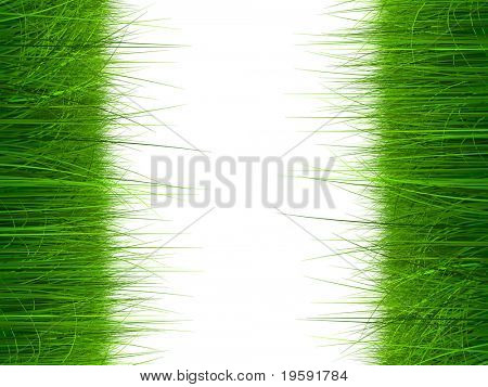 Cadre d'herbe haute résolution isolé sur fond blanc