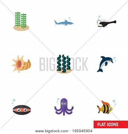 Flat Icon Marine Set Of Tentacle, Playful Fish, Scallop And Other Vector Objects