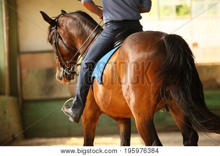 Unknown rider on dressage training sit in saddle