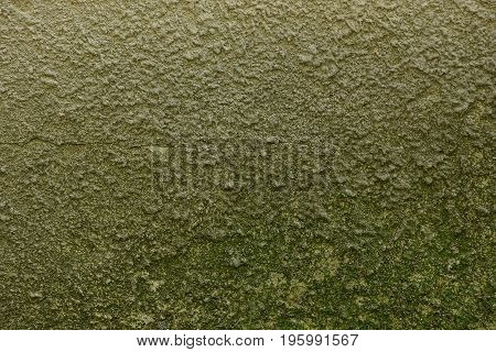 grey green dirty background from the fragment of concrete wall of building