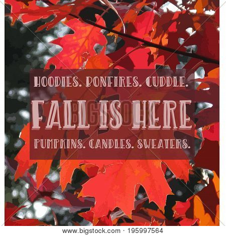 A beautyful fall quote background vector. EPS 8. Perfect for your blogpost or social media.