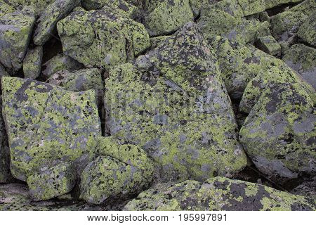 Texture, background of mountain stones with green moss